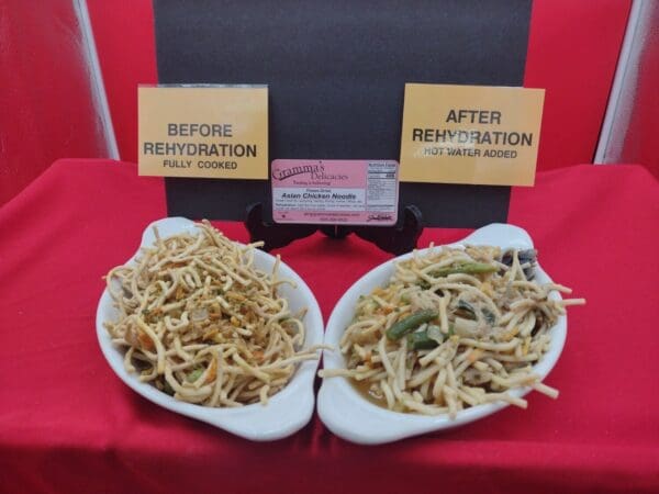 Freeze Dried Asian Chicken Noodles